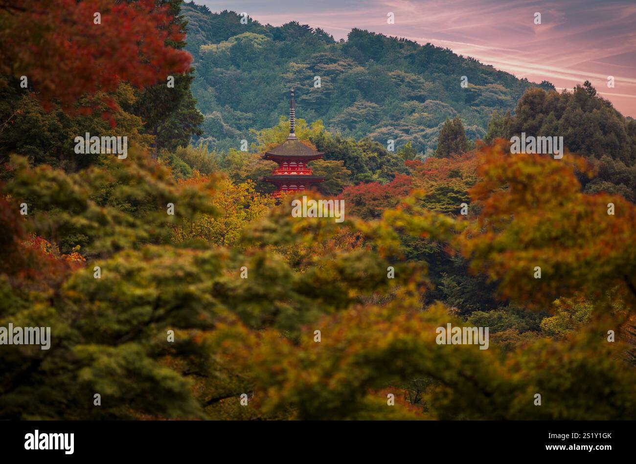 The Koyasu pagoda of the Kiyomizu-dera temple complex emerging from the ...