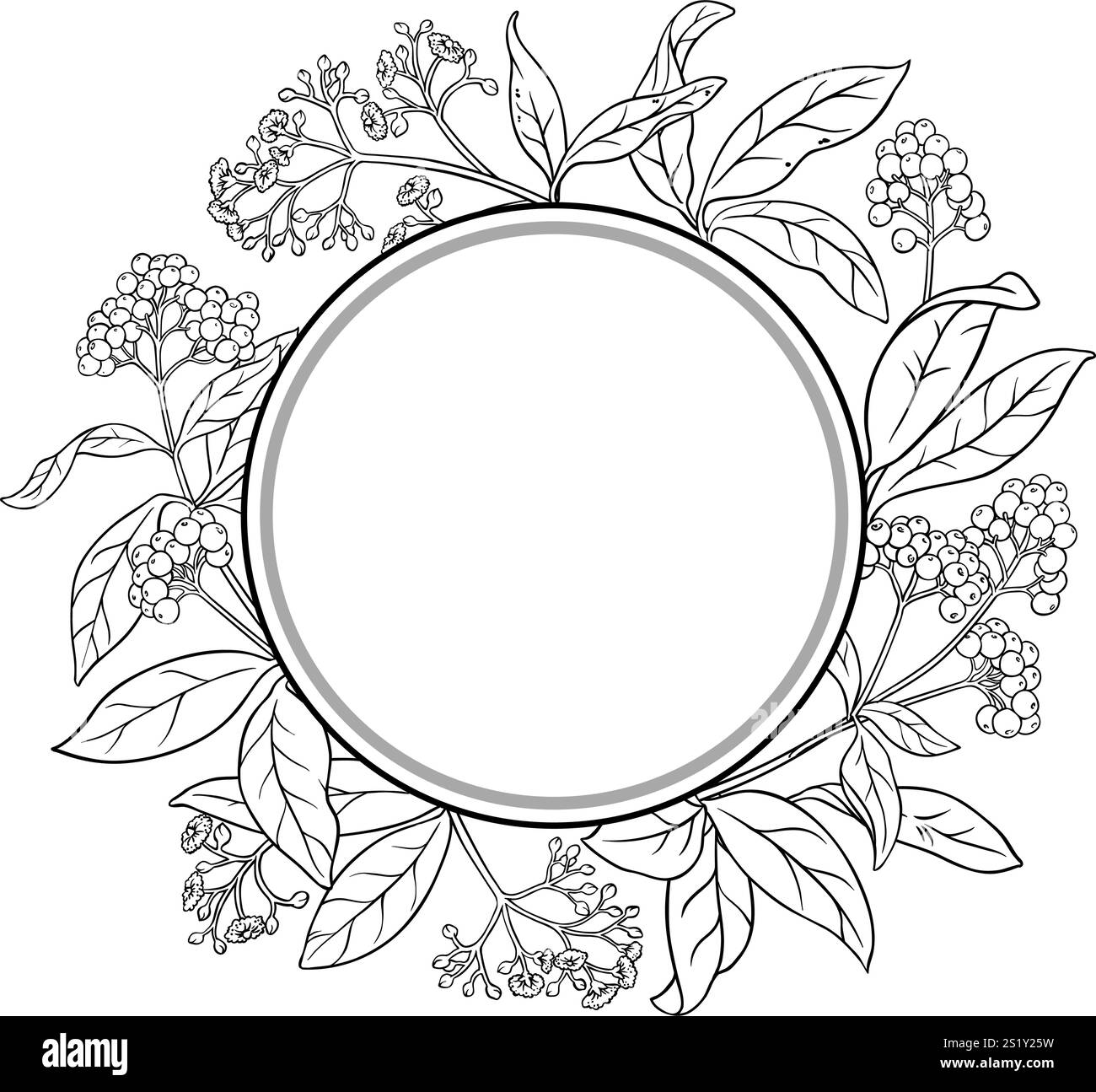 Allspice Branch Outline Circular Frame Stock Vector