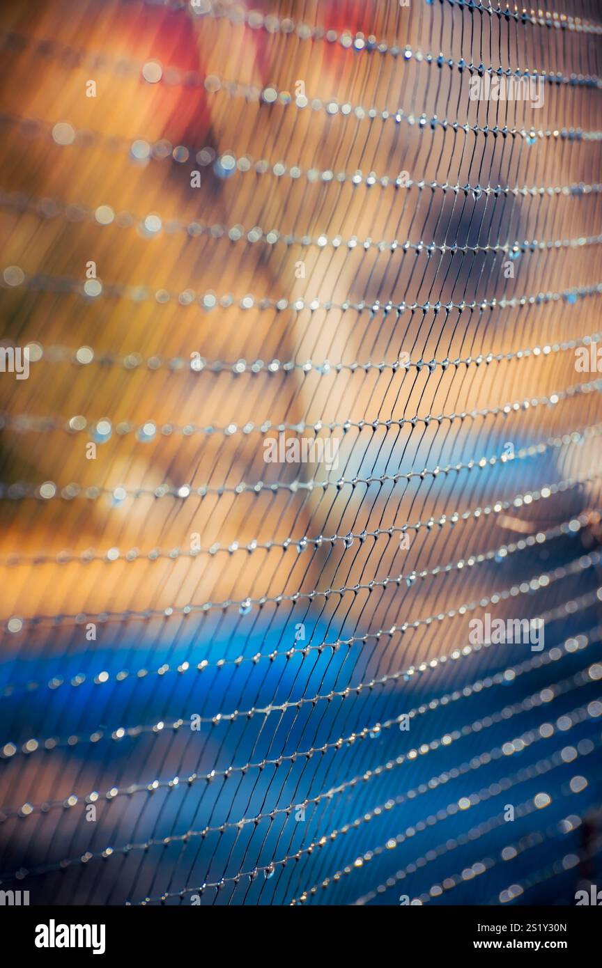 Abstract background with mesh texture and dew drops. Stock Photo