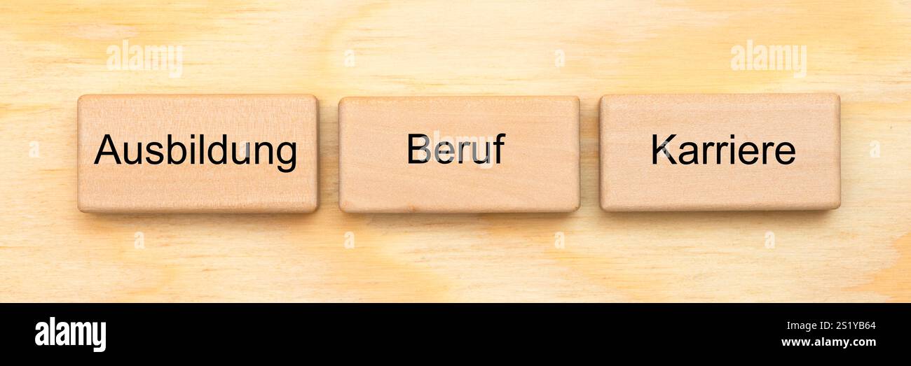 Ausbildung, Beruf und Karriere Symbolische Darstellung vom Lebensweg von Ausbildung über Beruf zur Karriere *** Education, profession and career Symbo Stock Photo
