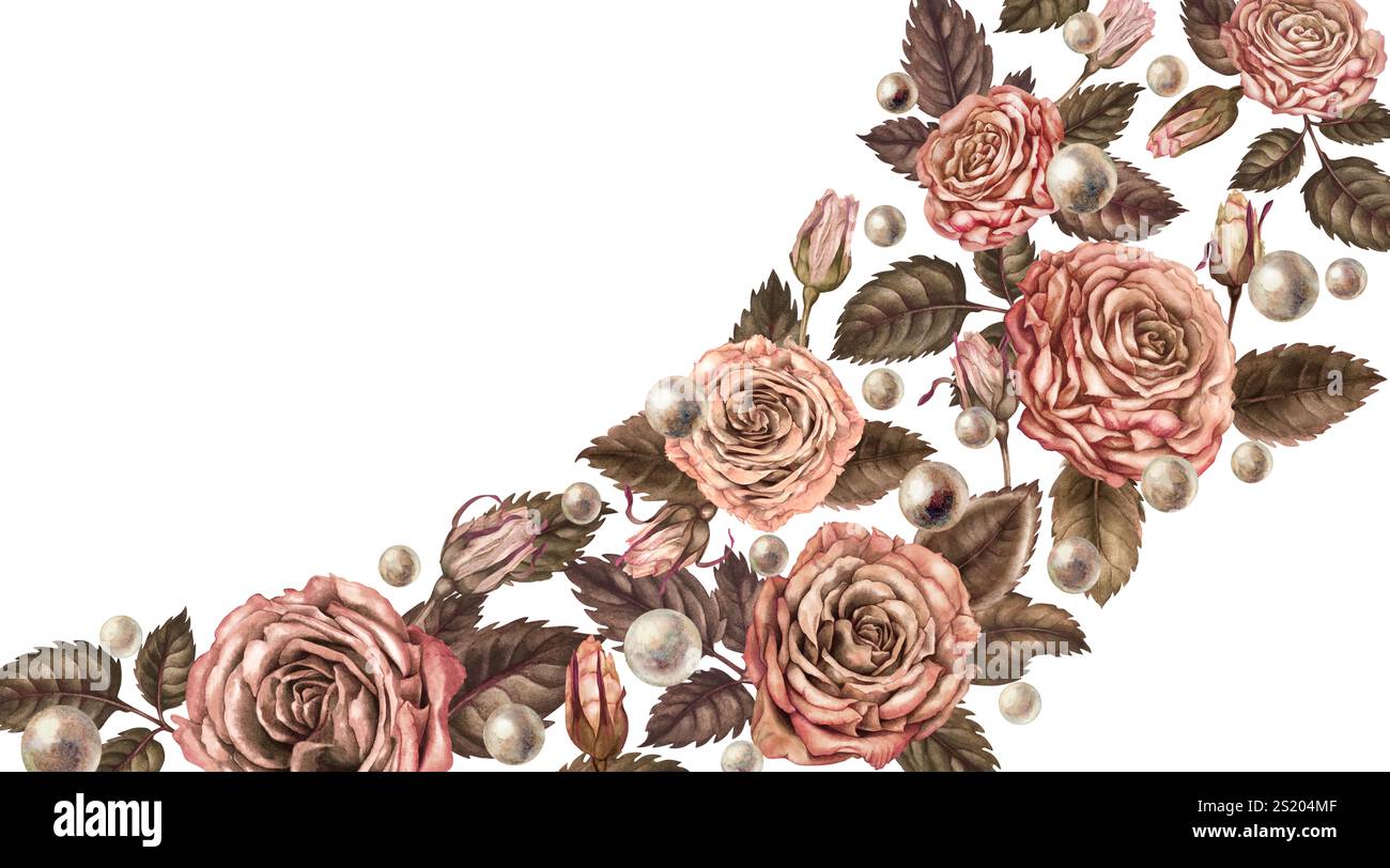 Botanical horizontal Cut Out Stock Images Pictures Alamy
