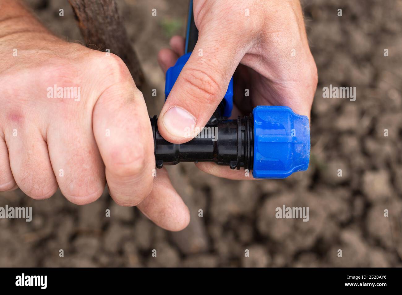 Fastening and connecting HDPE pipes with a fitting, close-up. Installation of drip irrigation in the garden. Stock Photo