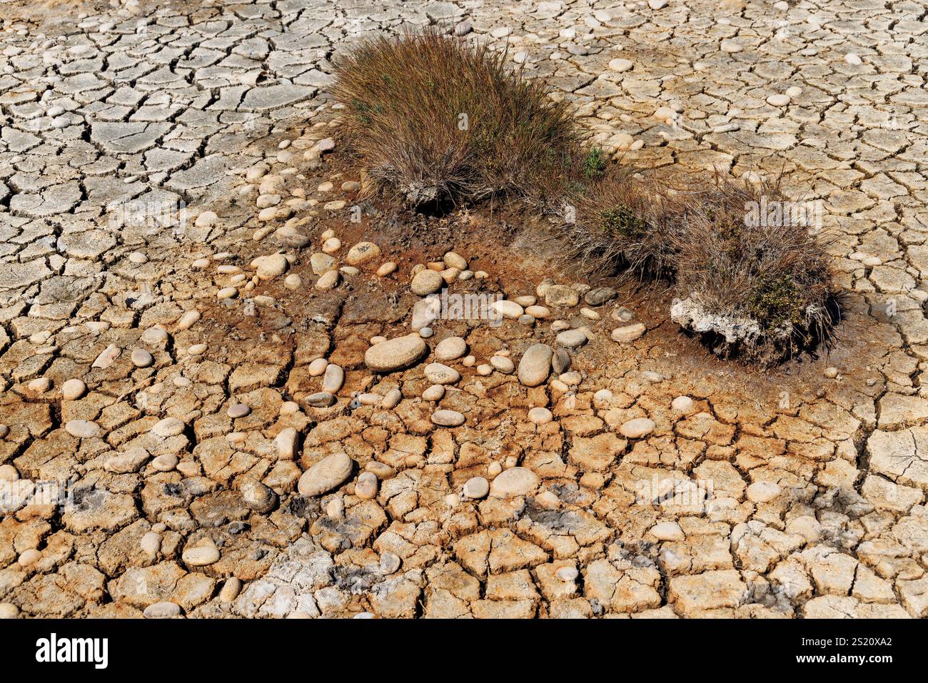 Dried mud in salt flats, Goury, Normandy, France Stock Photo