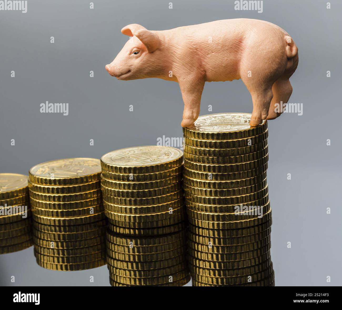 A pig stands on a pile of coins. Rising costs for animal feed in agriculture. Declining yields of pork Stock Photo