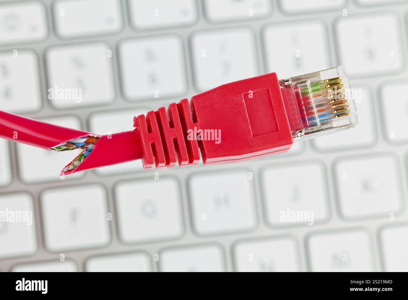 The red, defective cable of a network from a computer. Austria Stock ...