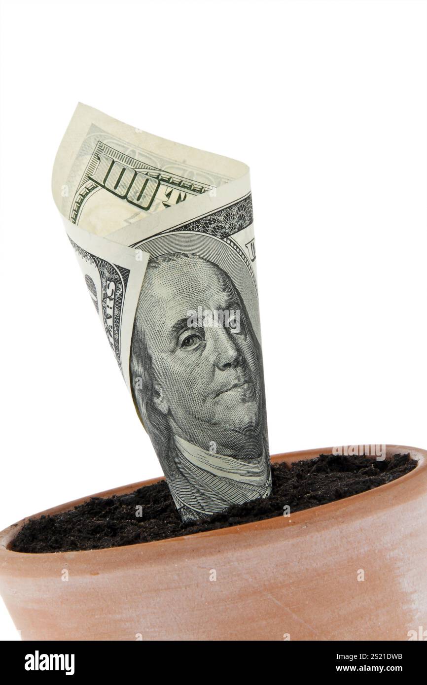 A dollar note in a flower pot. Symbol interest, growth. Austria Stock Photo