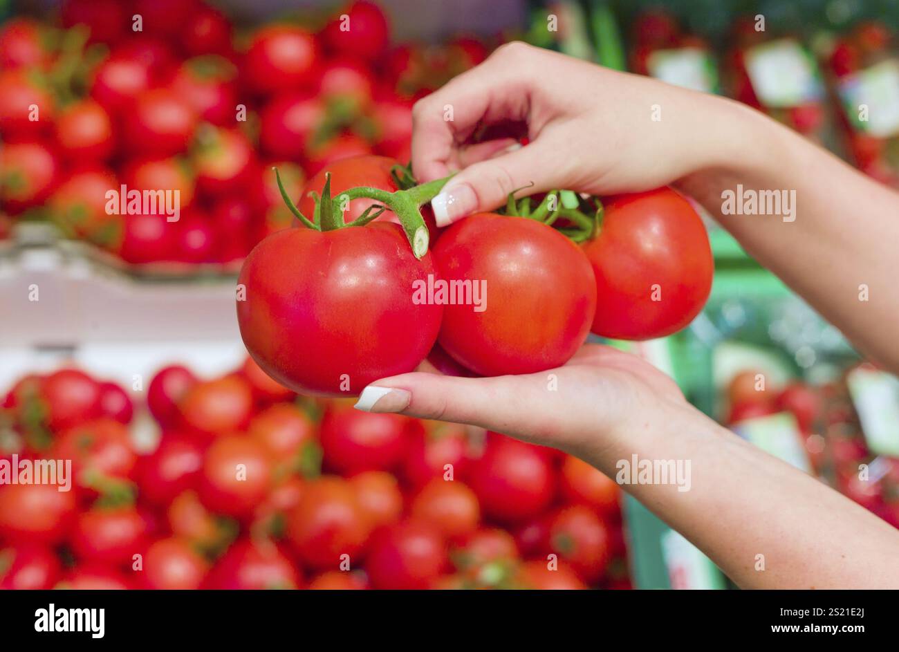 Fresh red tomatoes on the fresh produce shelf of a supermarket. Austria Stock Photo