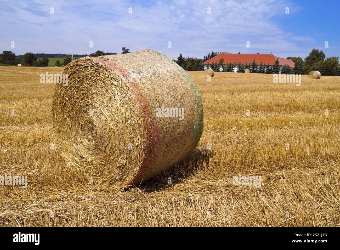 A field with bales of straw after the agricultural harvest Stock Photo ...