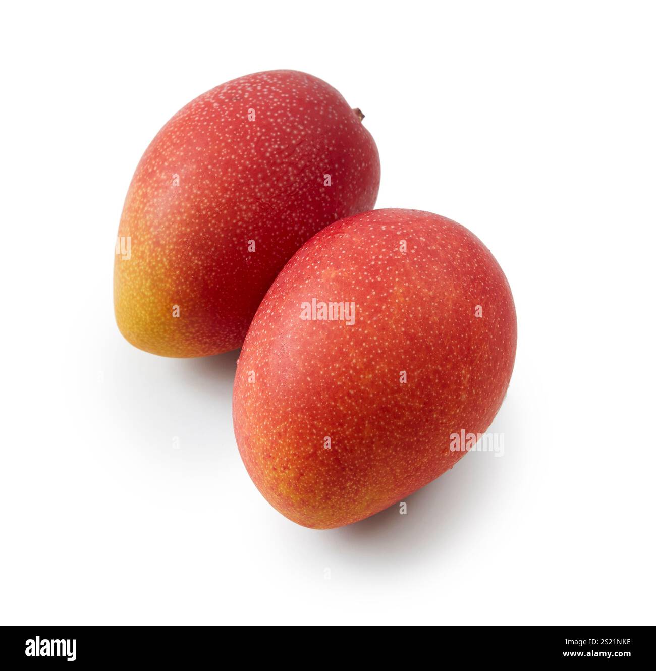 Mango family hi-res stock photography and images - Alamy