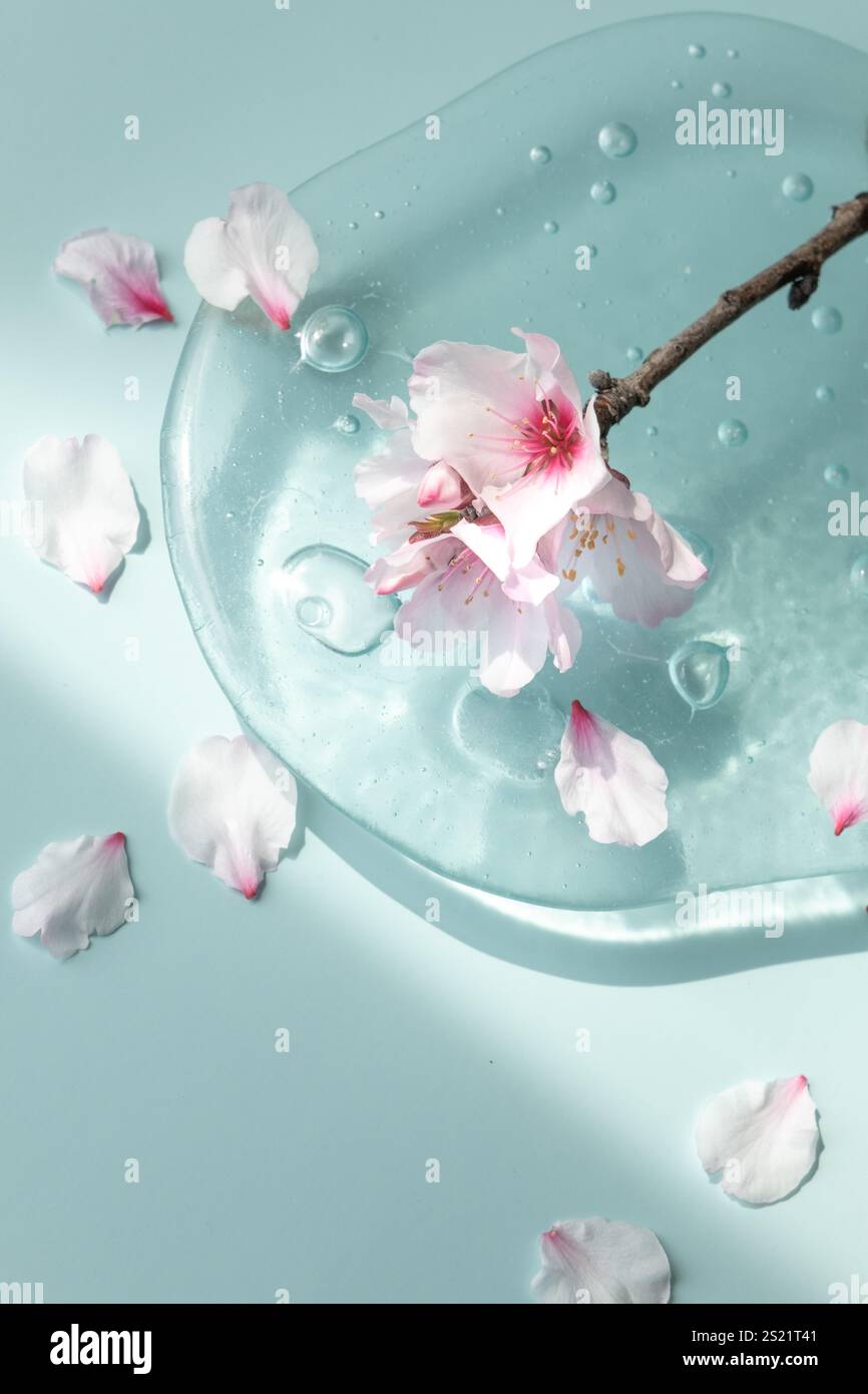 Stylish cherry blossom viewing hi-res stock photography and images - Alamy