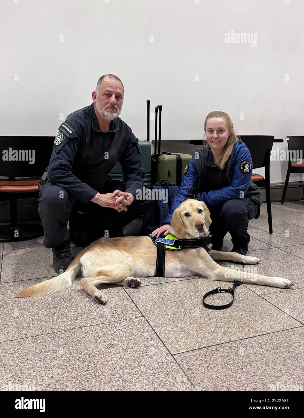 Rocko, a victim recovery and live air scenting dog with K9 Search and