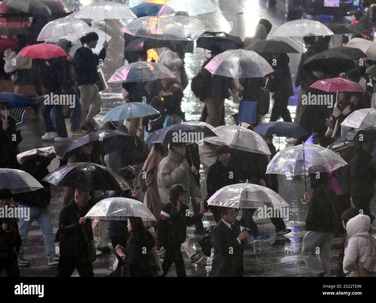 People cross the Shibuya scramble crossing in rain in Tokyo, on Jan. 6 ...