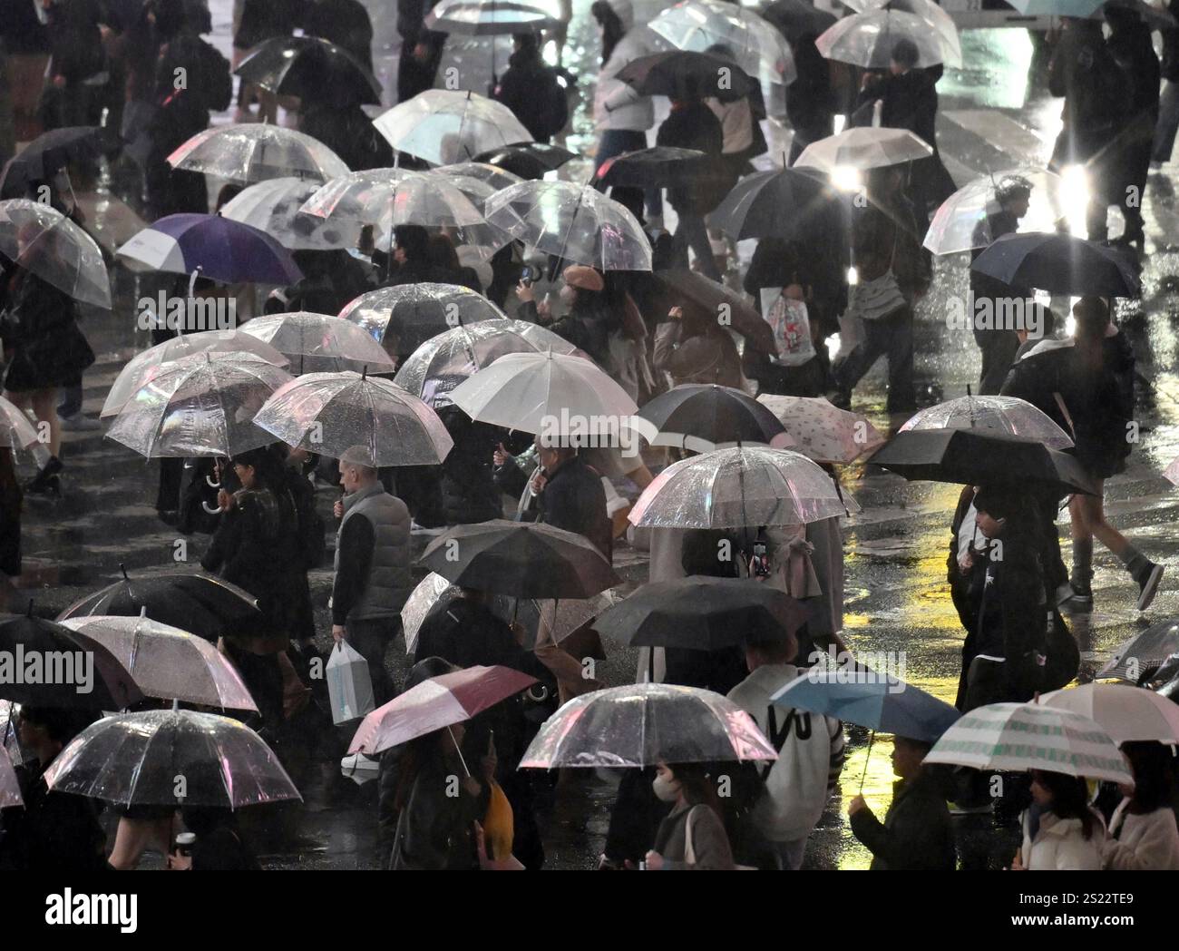 People cross the Shibuya scramble crossing in rain in Tokyo, on Jan. 6 ...