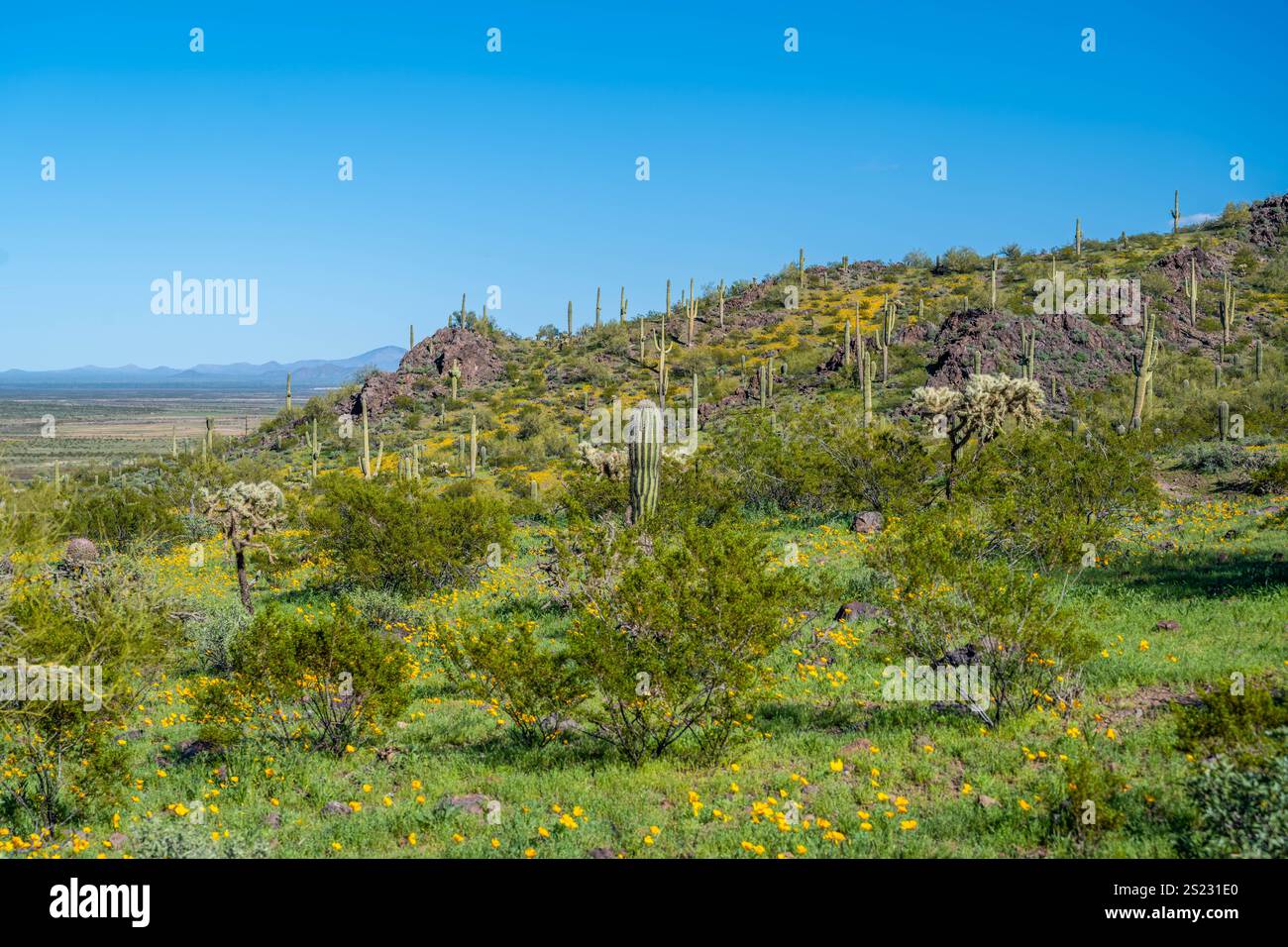 An overlooking view of Picacho Peak SP, Arizona Stock Photo