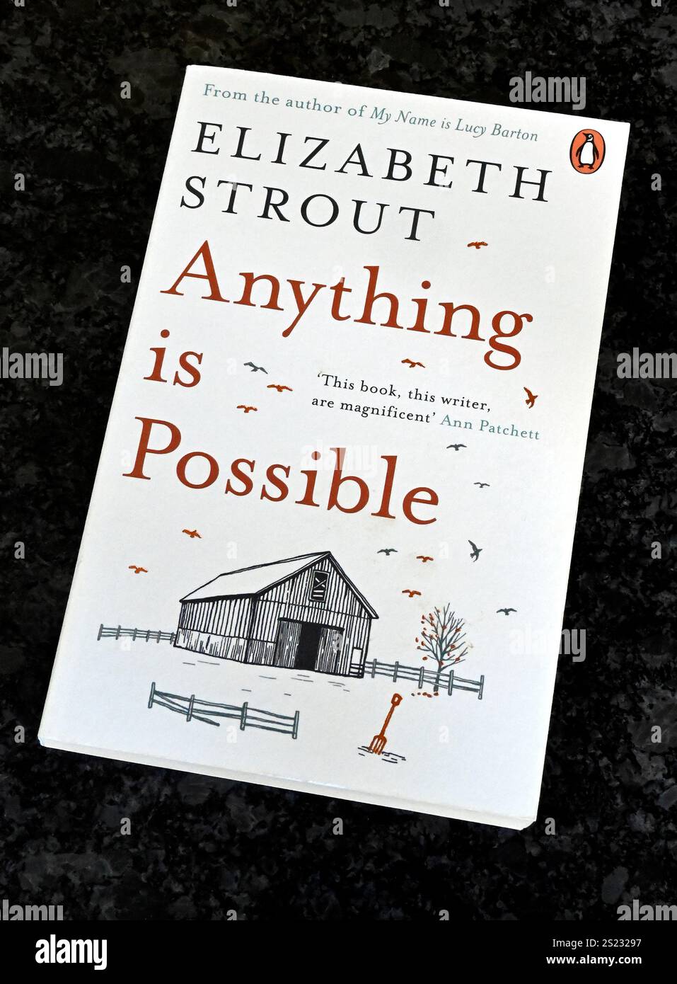 Elizabeth Strout (born January 6, 1956) is an American novelist and author. She is widely known for her works in literary fiction and her descriptive Stock Photo
