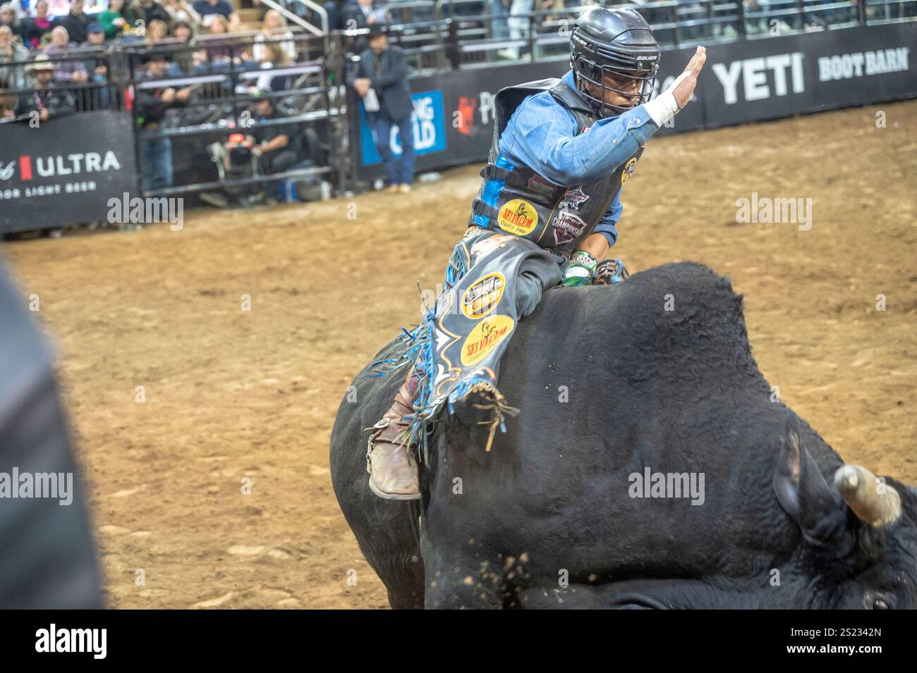 New York, New York, USA. 5th Jan, 2025. (new) 2025 professional bull ...