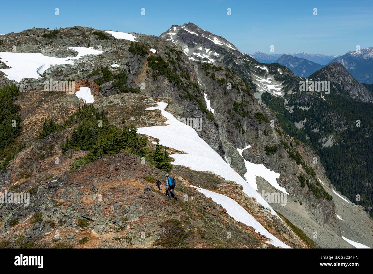 Solo hiker treks along rocky mountain ridge top with dog Stock Photo ...