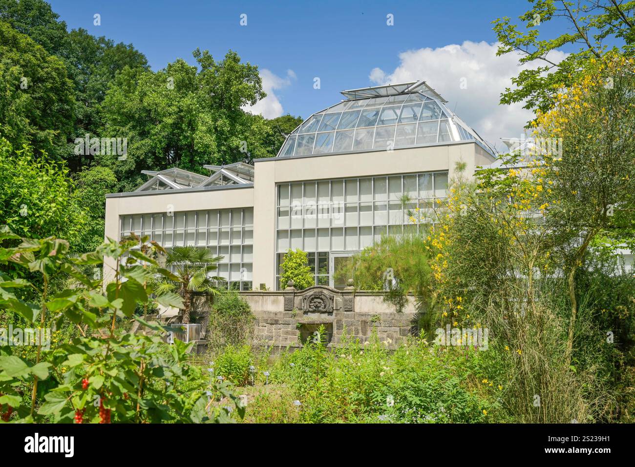 Palmenhaus, Botanischer Garten der JustusLiebigUniversität