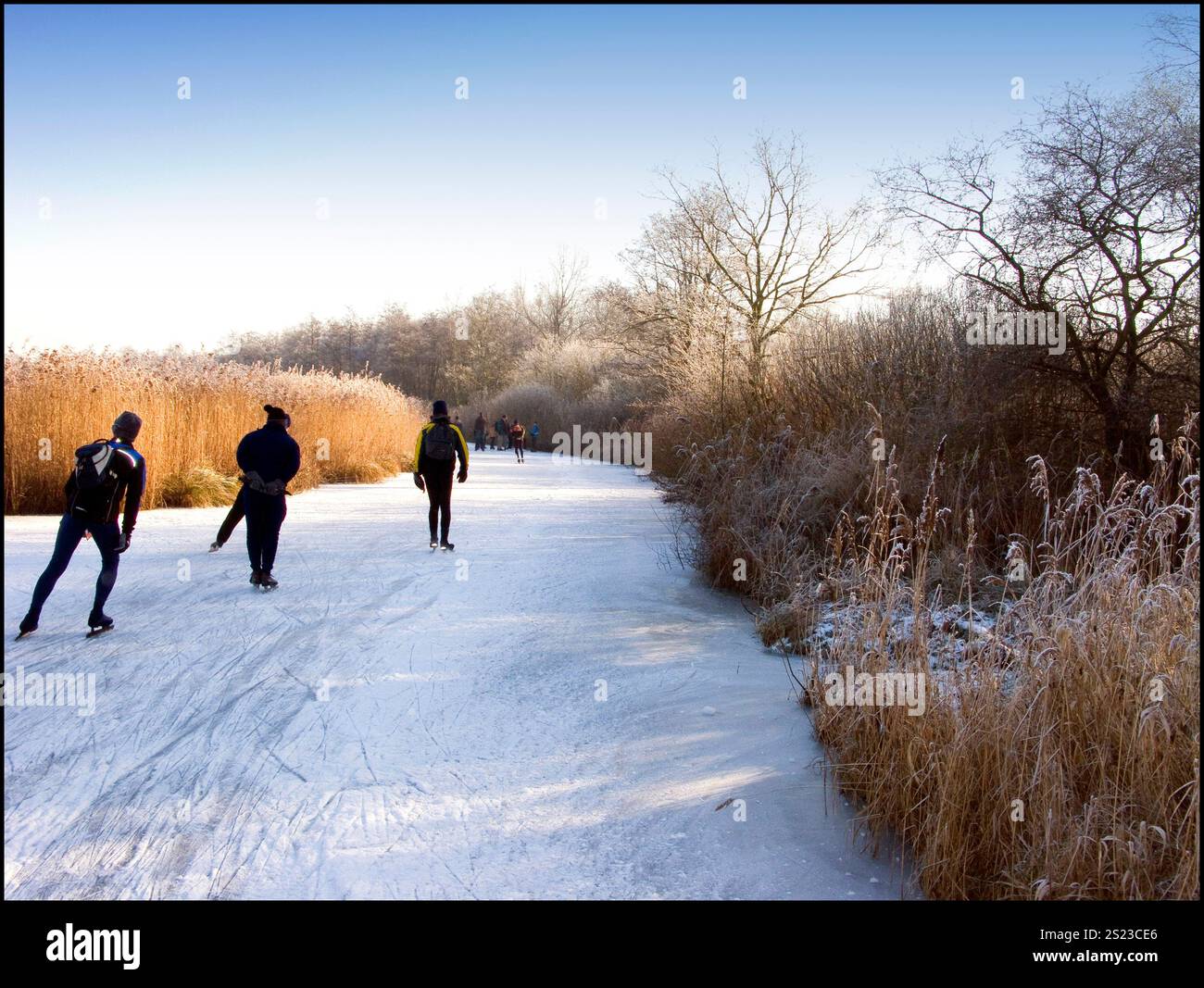 Skating tour in Weerribben Wieden National Park on natural ice.Netherlands 2009 vvbvanbree photography Stock Photo