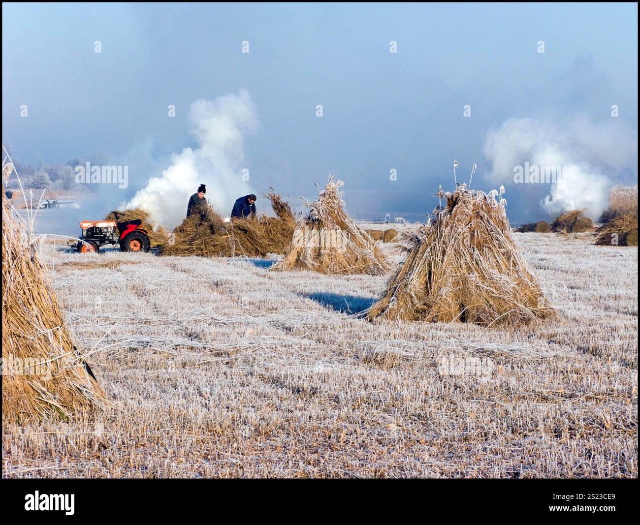 Reed/tatch cutting on the round weeds at Giethoorn. Netherlands vvbvanbree Stock Photo