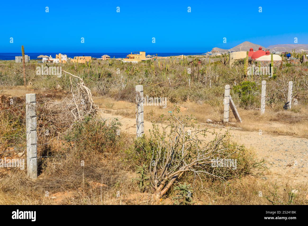 A barren desert landscape with a fence and a few trees. The sky is blue ...