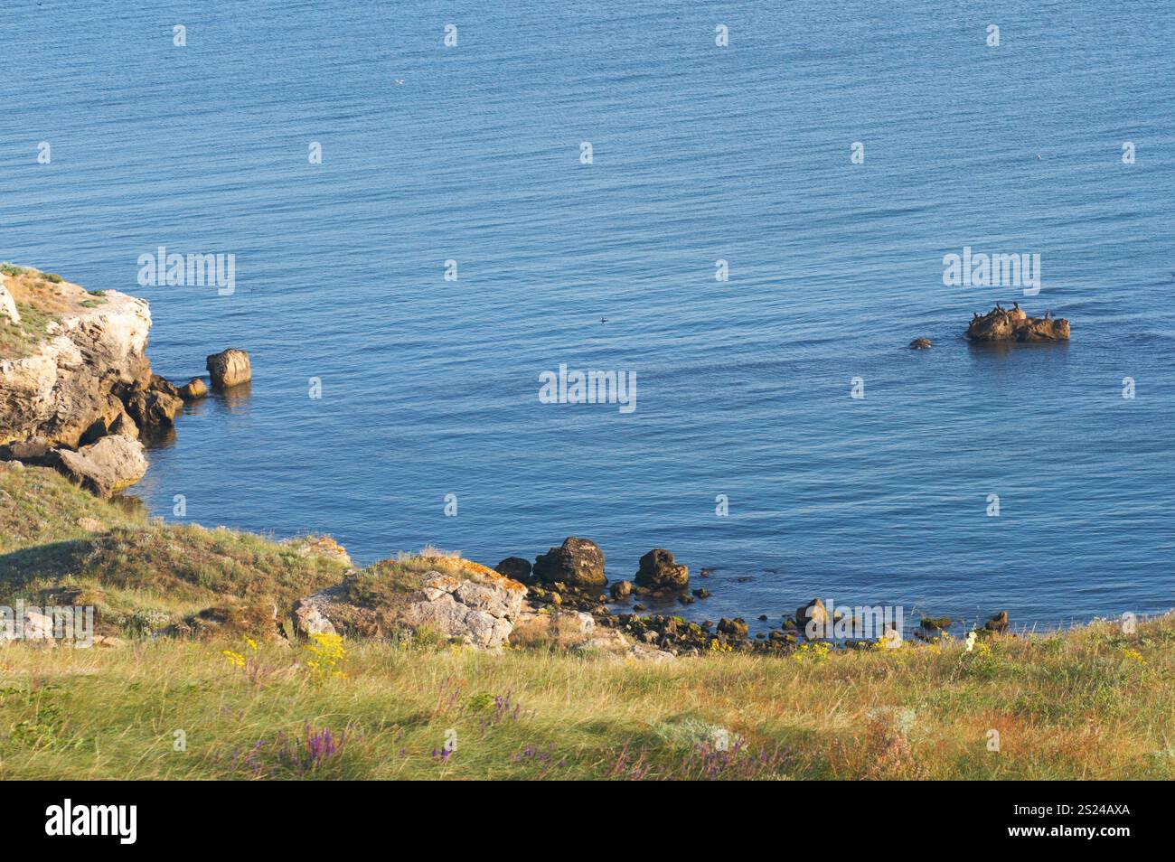 Small rocky sea lagoon and coastal grass Stock Photo - Alamy