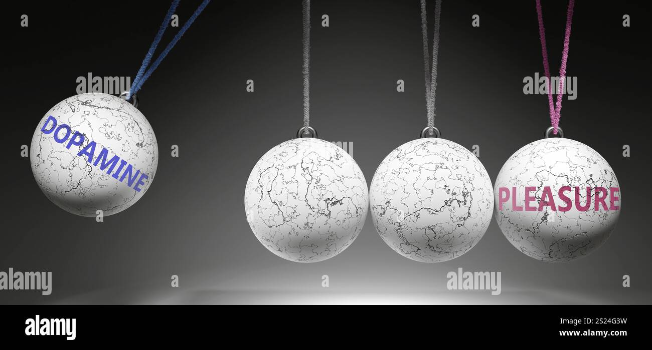 Dopamine And Pleasure Cause And Effect Relationship A Newton Cradle