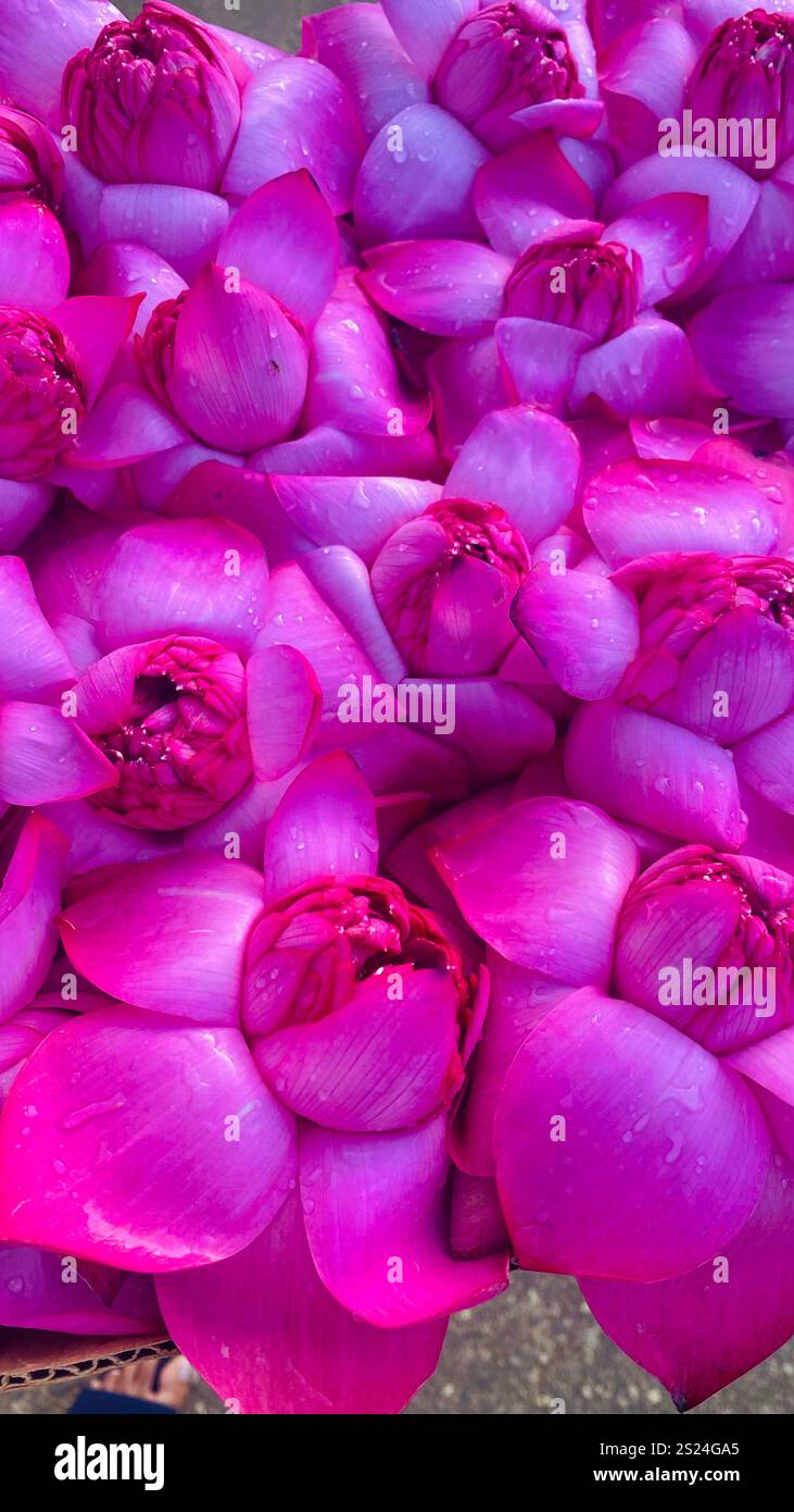 viewing moon with my favourite person - Smartphone Captured Stock Image
