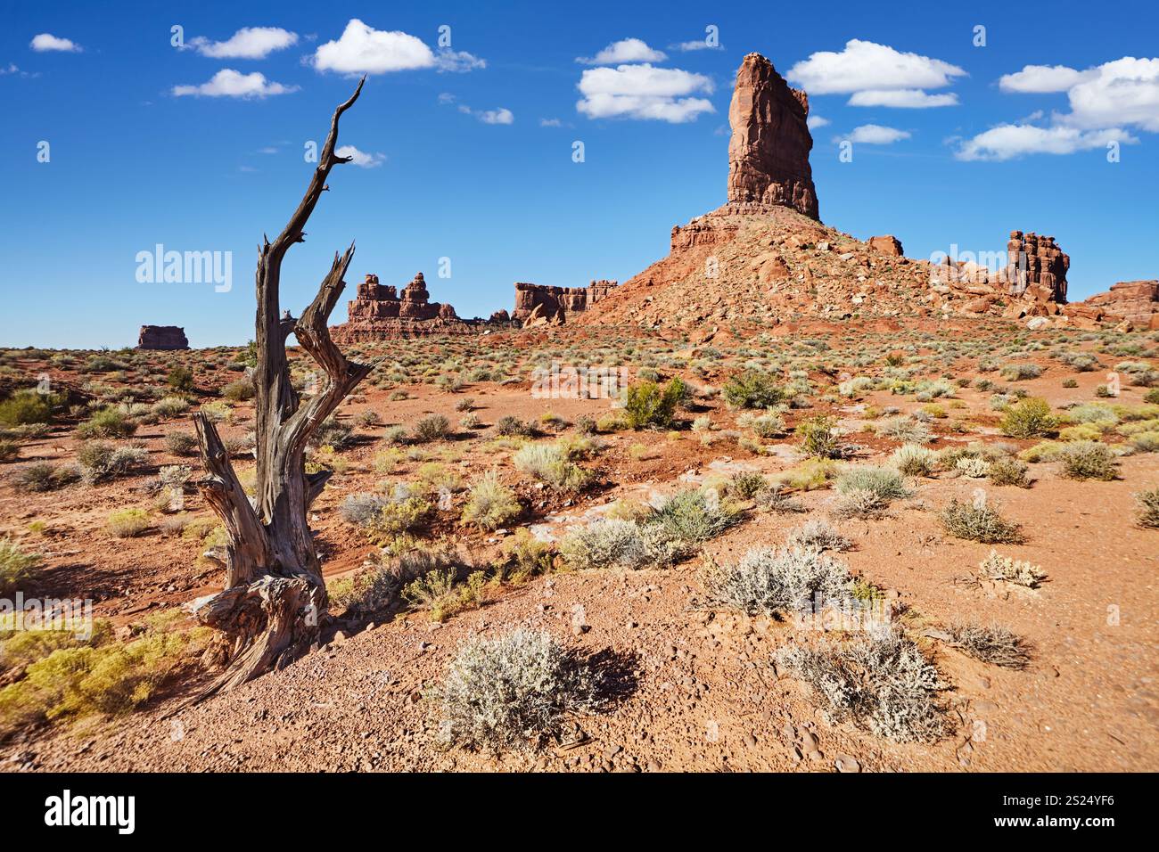 Valley of the Gods is a scenic sandstone stretch in southeastern Utah, USA Stock Photo