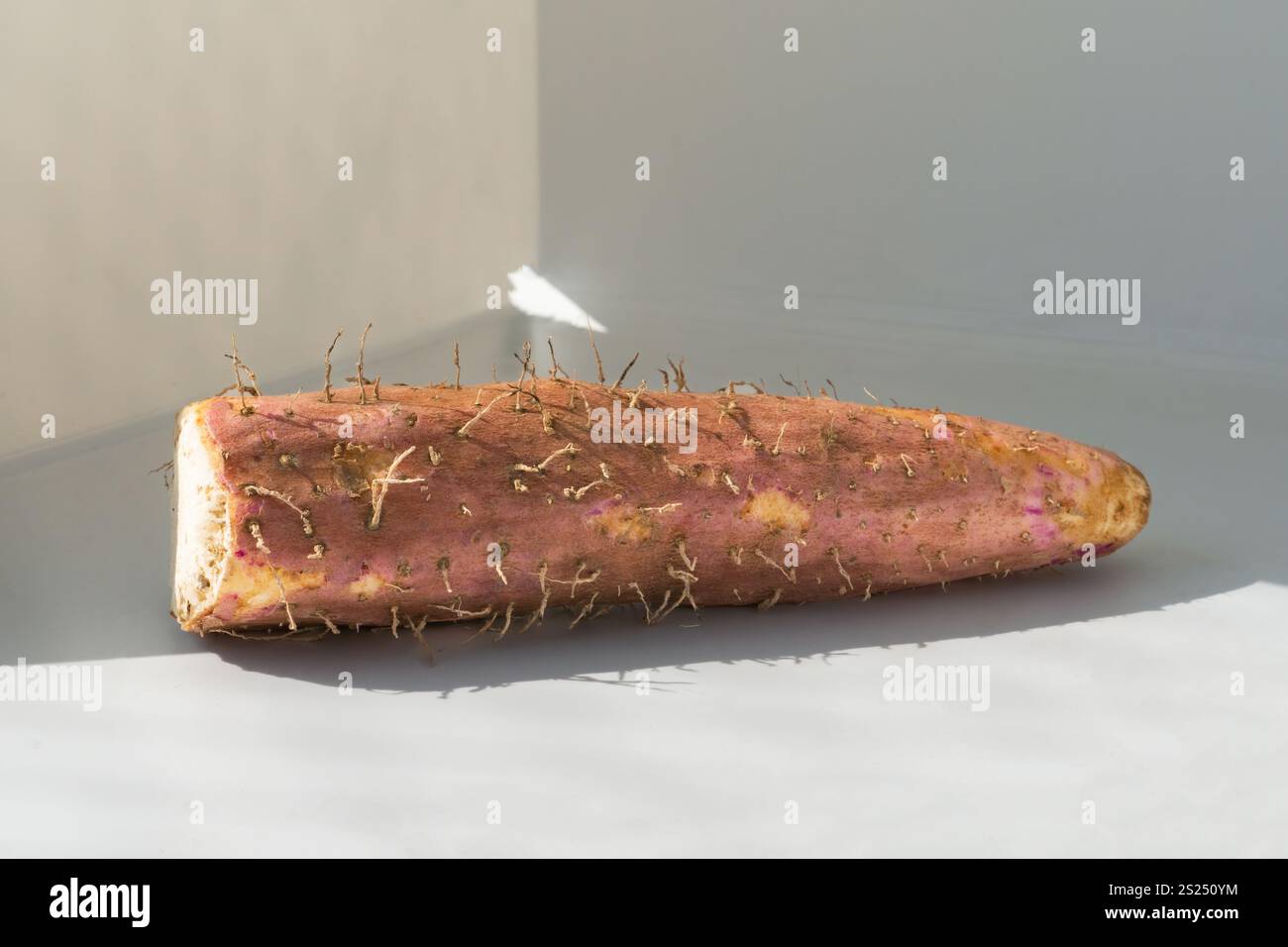 Sweet Potato and Yam Root Fibrous Vegetable Healthy Concept Isolated ...