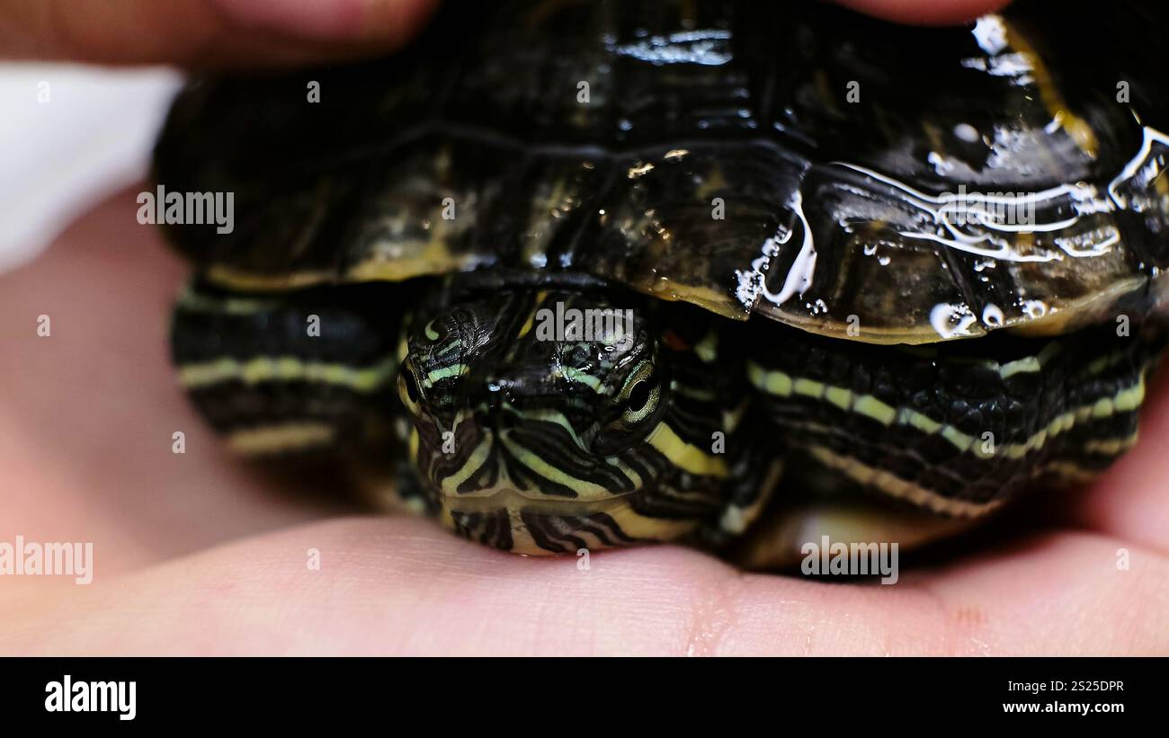 Detailed markings highlighting hi-res stock photography and images - Alamy