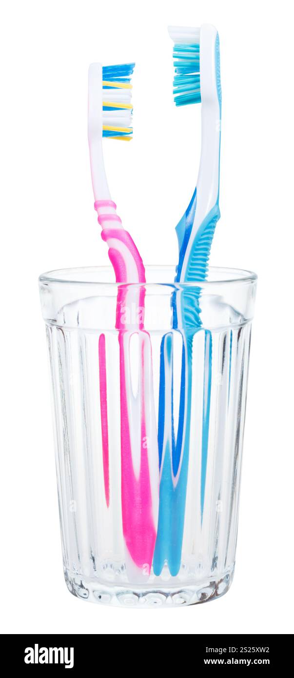couple of tooth brushes in glass - family set of toothbrushes isolated ...