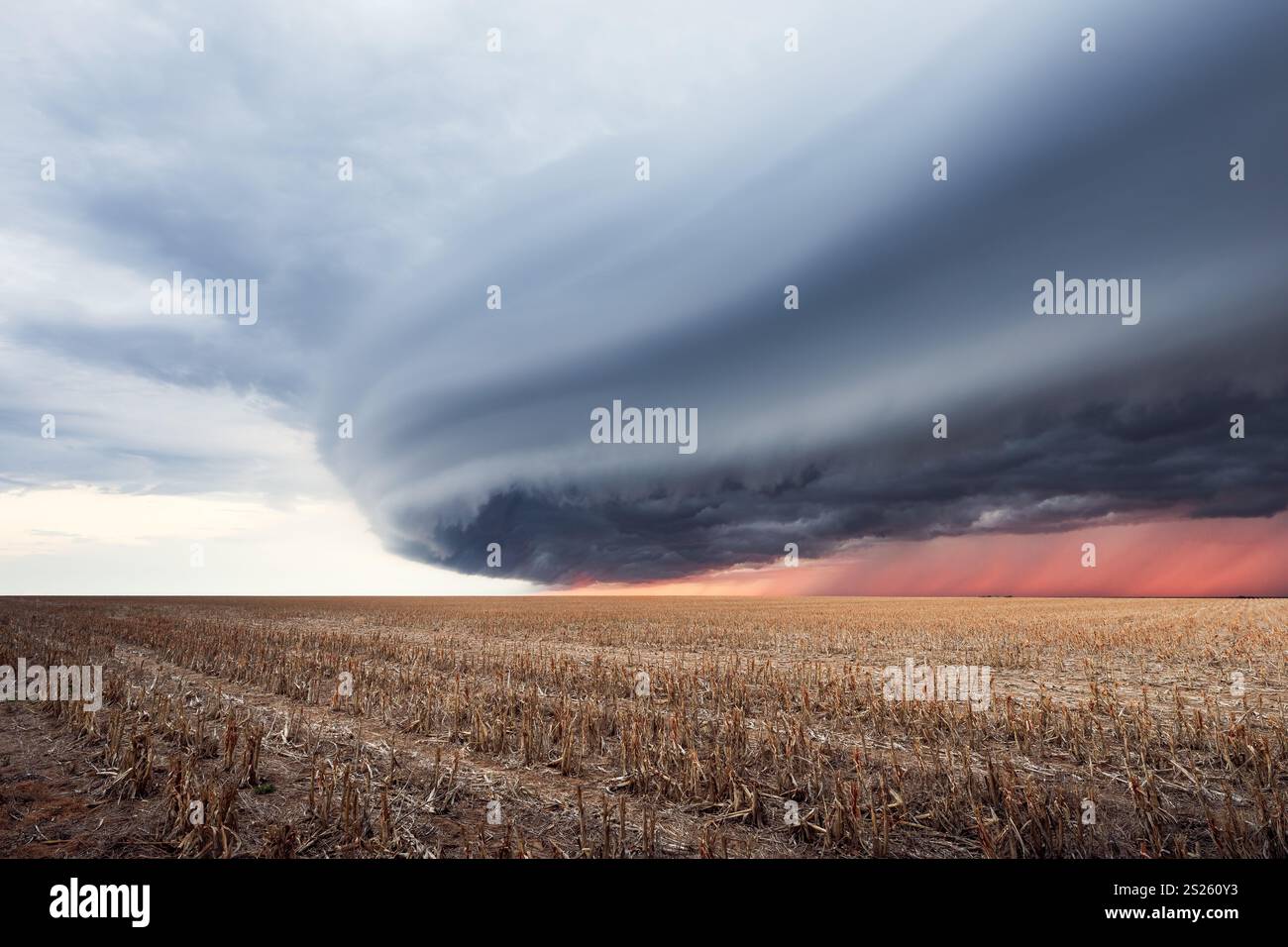 Dramatic shelf cloud over a field in Kansas Stock Photo