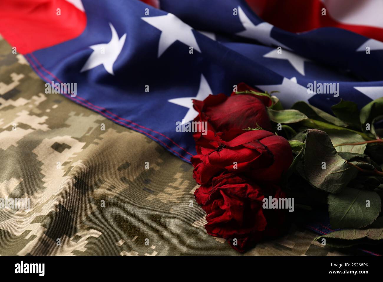 Veterans day. American flag, roses and military uniform, closeup Stock ...
