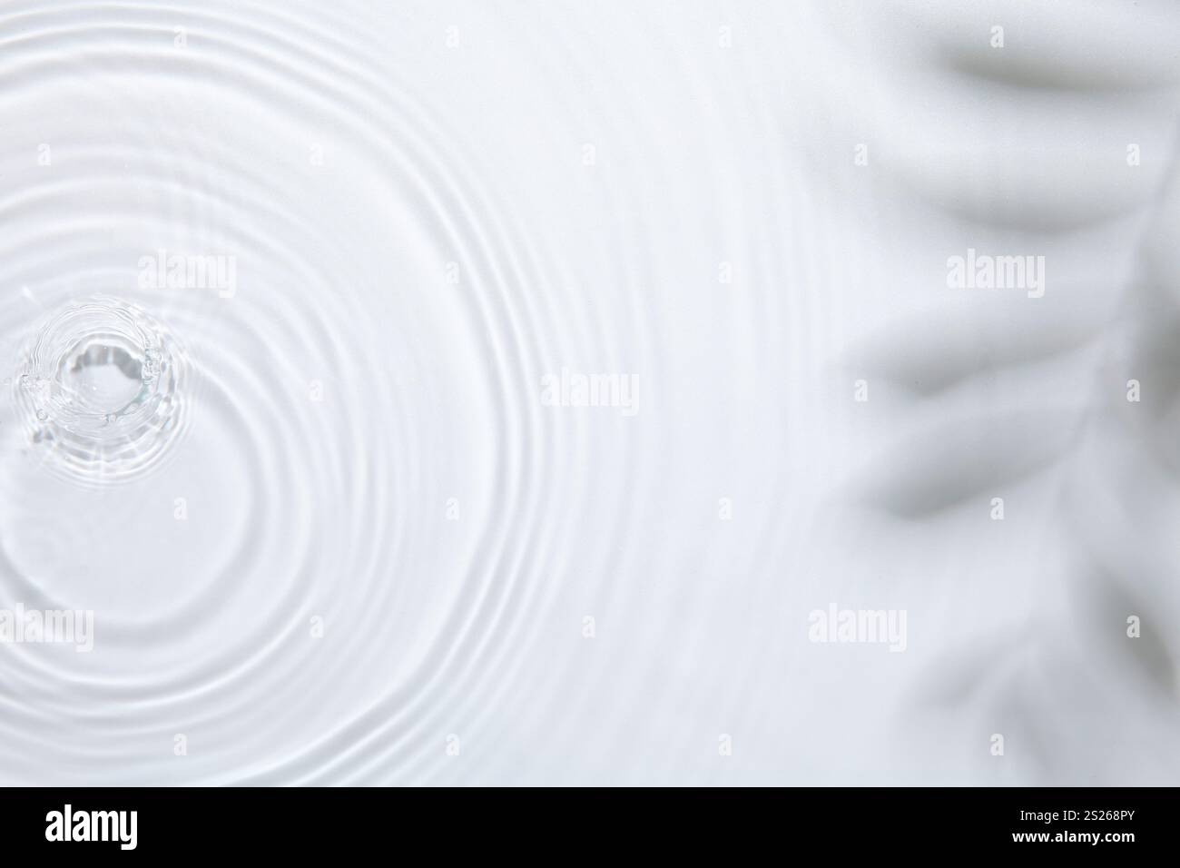 Lens Rippled Surface Rippled surface of clear water on white background, top view Stock ...