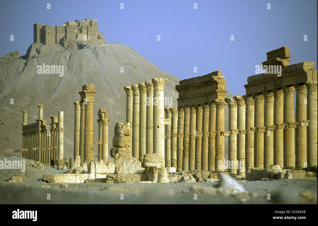 the Roman Ruins of Palmyra in Palmyra in the east of Syria Stock Photo ...