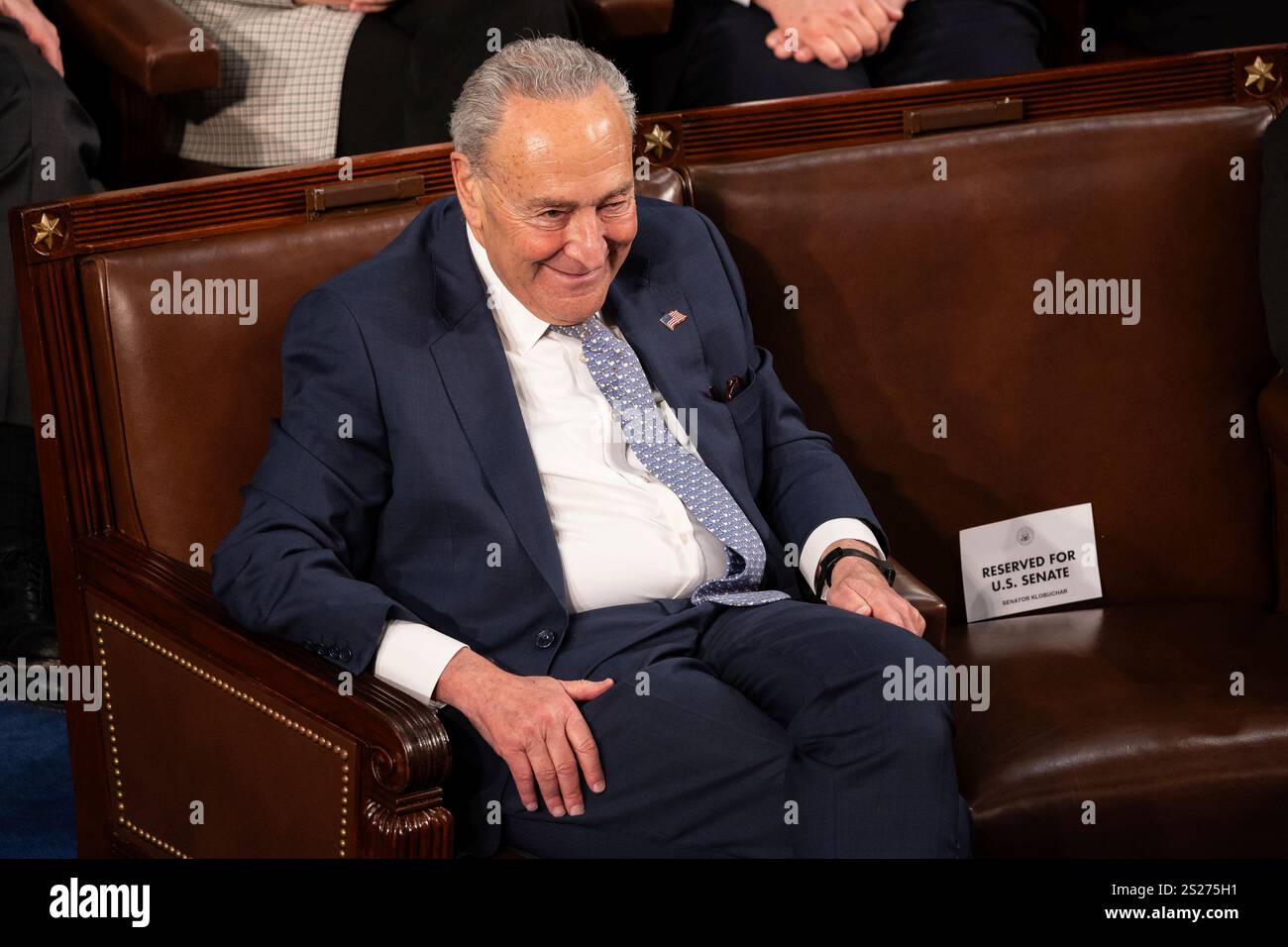Senate Minority Leader Chuck Schumer (DN.Y.) is seen during a joint