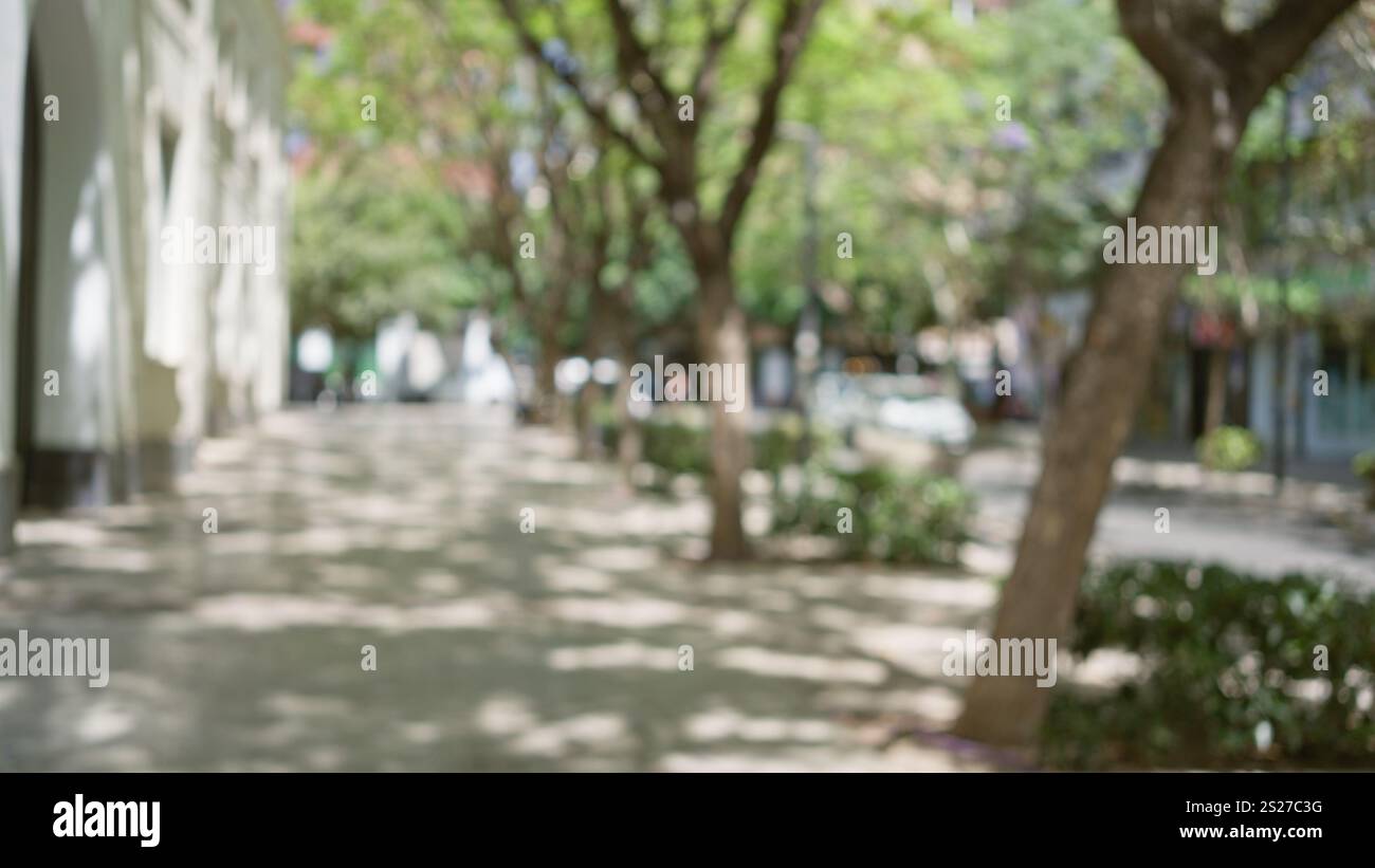 Outdoor scene with blurred trees showing bokeh effect along a walkway ...