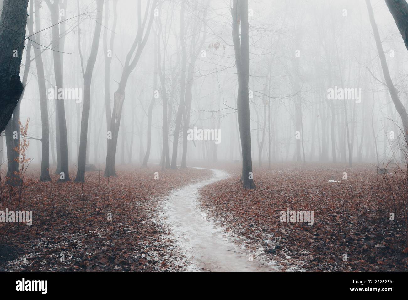 Autumn city park at in fog Stock Photo - Alamy