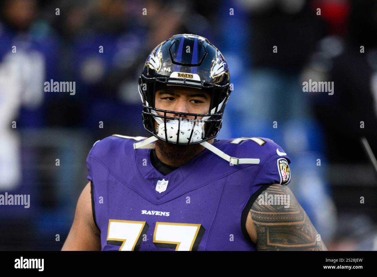 Baltimore Ravens offensive tackle Daniel Faalele (77) works out before ...