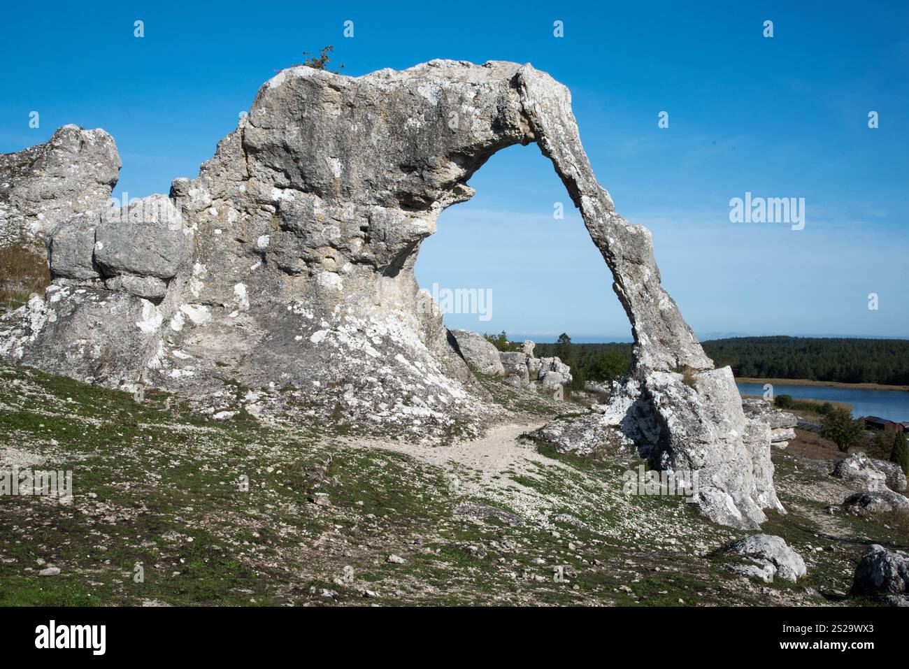 The rauks of Lergravsviken on Gotland Island in Sweden are the remains ...