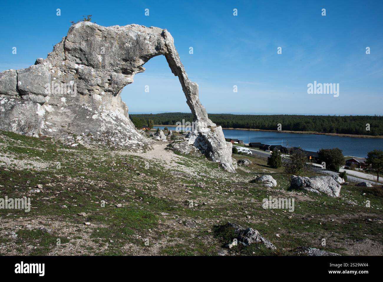 The rauks of Lergravsviken on Gotland Island in Sweden are the remains ...