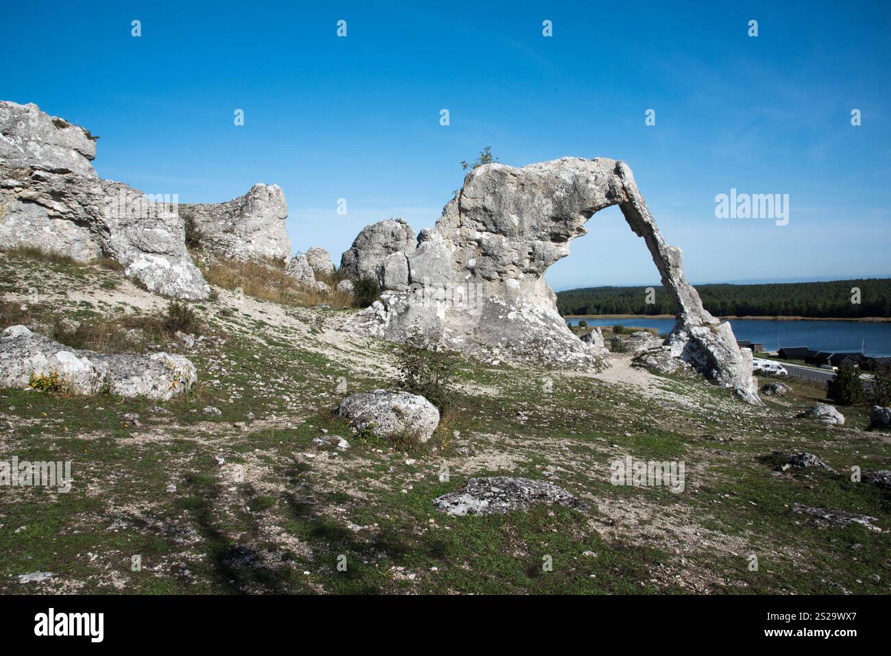 The rauks of Lergravsviken on Gotland Island in Sweden are the remains ...