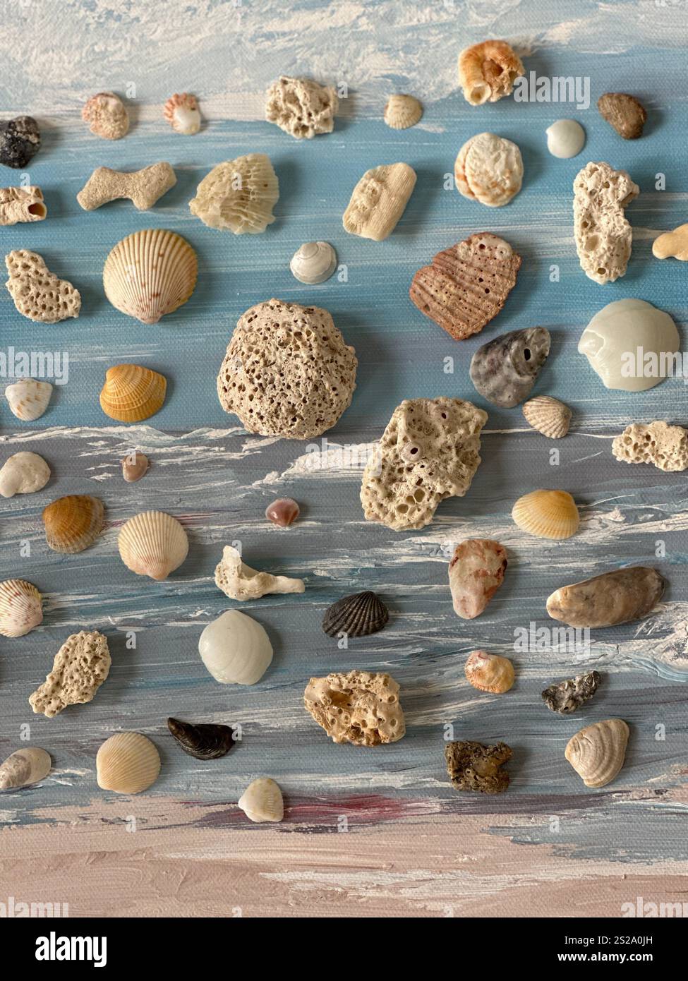 Full background of seashells from Destin, Florida beach Stock Photo - Alamy