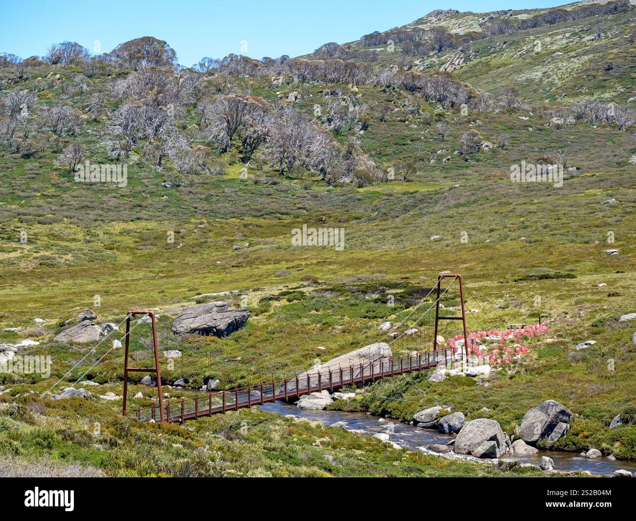 Australia's highest suspension bridge, crossing Spencers Creek on the Snowies Alpine Walk Stock Photo