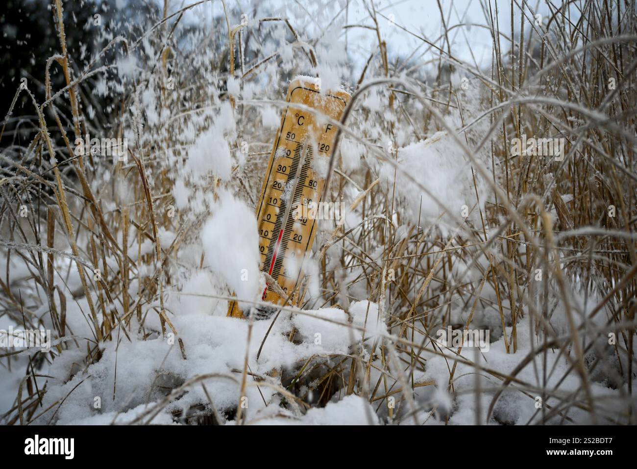 Thermometer measuring freezing temperatures in a snow-covered field ...