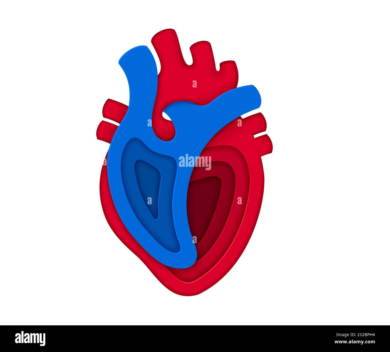 Paper cut human heart showcasing structure of heart chambers and ...