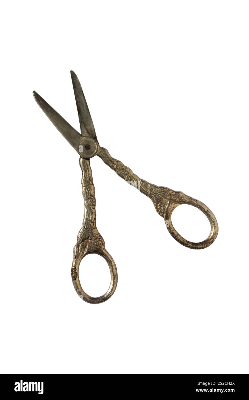 vintage silver plate grape scissors isolated on white background Stock Photo