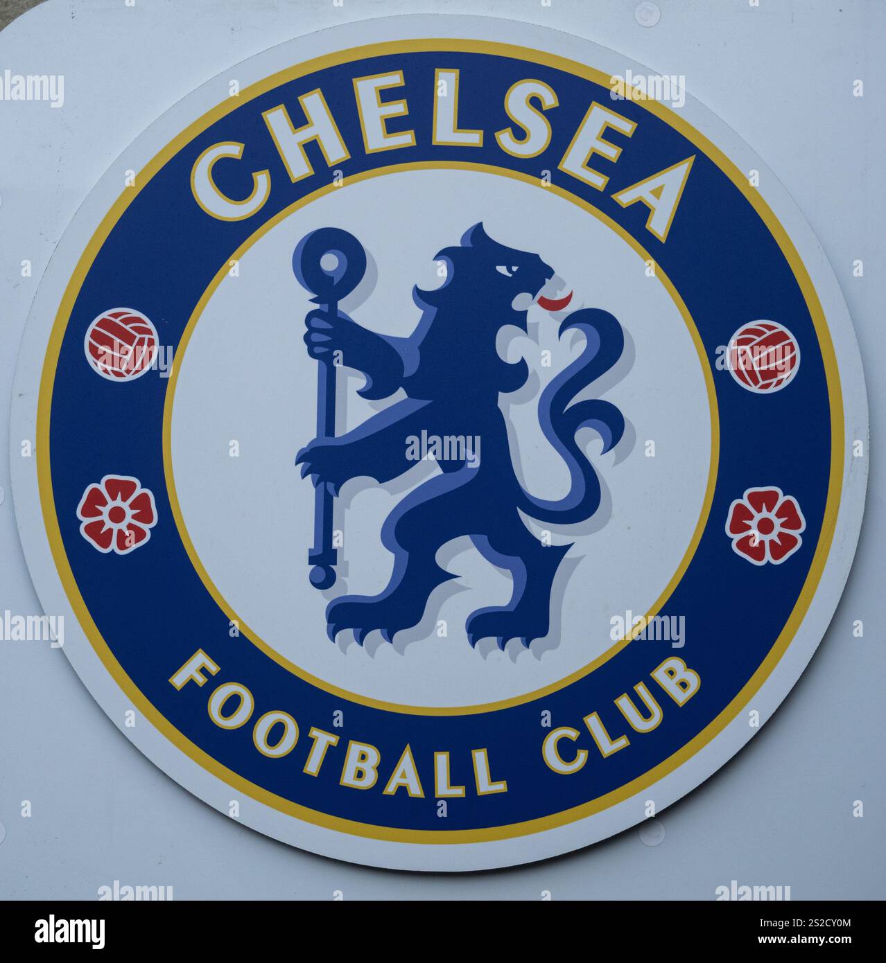 OFFICIAL CHELSEA F.C. CREST Shape Nae Plate : Aazon.co.uk - View #2