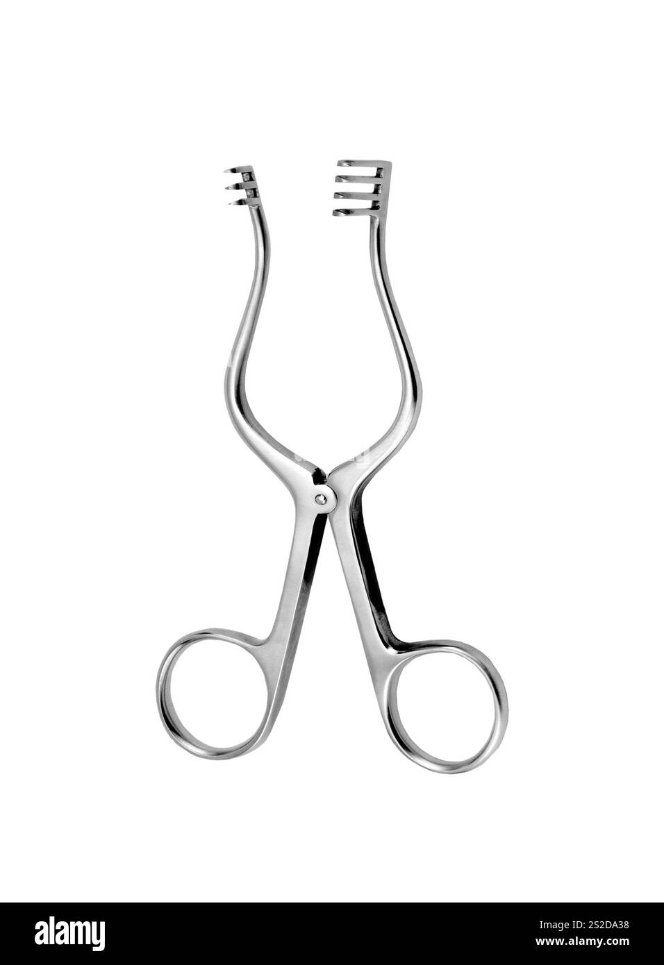 forceps isolated on white background Stock Photo